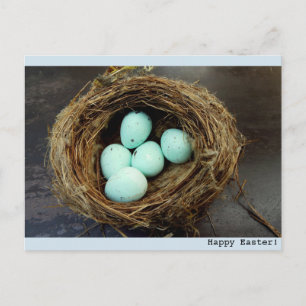 Speckled Easter eggs  real bird's nest photograph Holiday Postcard
