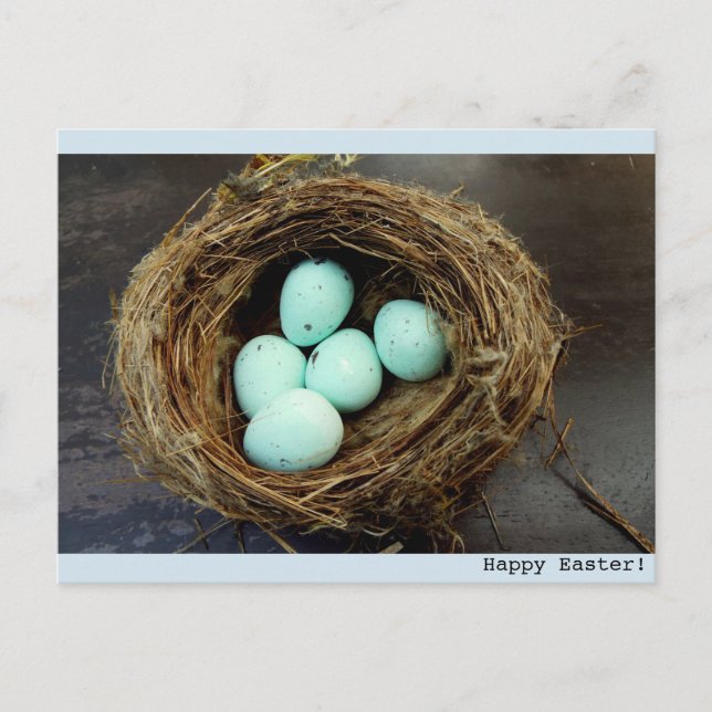 Speckled Easter eggs  real bird's nest photograph Holiday Postcard (Front)