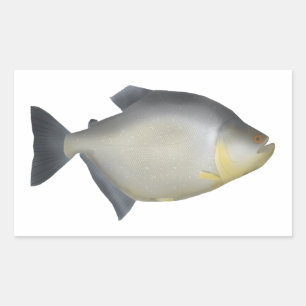 Speckled Piranha Rectangular Sticker