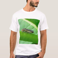 Speckled Sharpshooter Leaf Hopper Items