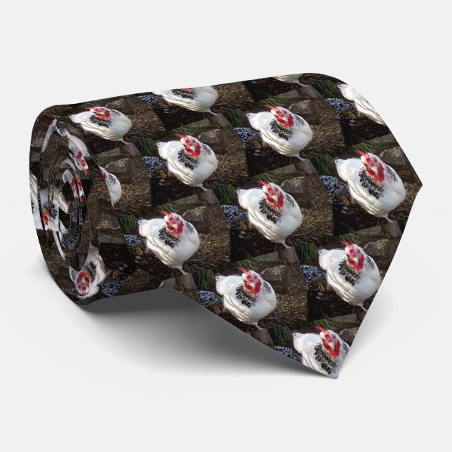 Speckled White And Black Chicken, Tie (Rolled)