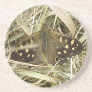 Speckled Wood Butterfly Coasters