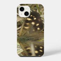 Speckled Wood Butterfly