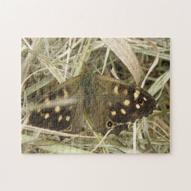 Speckled Wood Butterfly Puzzle (Horizontal)