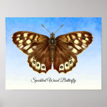 Speckled Wood Butterfly Watercolor Painting Poster