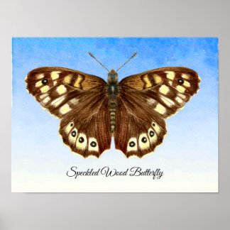 Speckled Wood Butterfly Watercolor Painting Poster