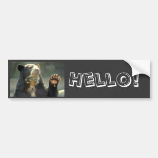 spectacled bear, Hello! Bumper Sticker