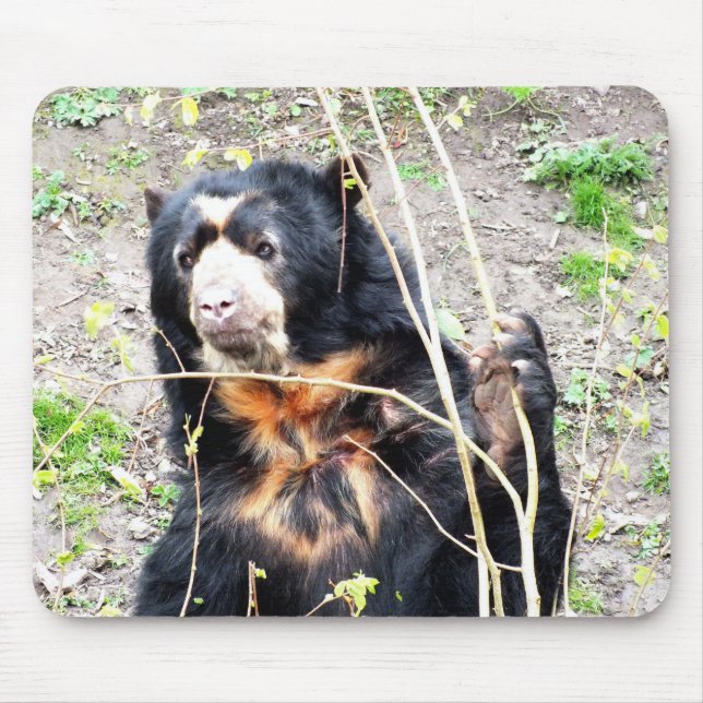 Spectacled bear mouse pad (Front)