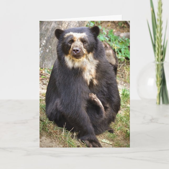 Spectacled Bear Scratchings Card (Front)