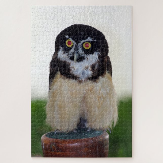 Spectacled Owl Jigsaw Puzzle (Vertical)