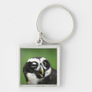Spectacled Owl (Pulsatrix perspicillata) Key Ring