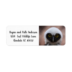 Spectacled Owl Return Address Label