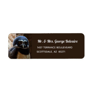 Spectacled Owl Return Address Label
