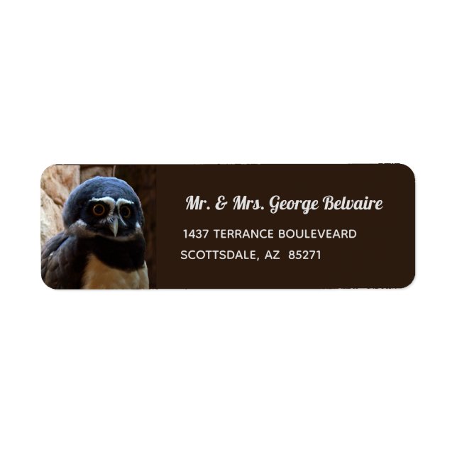 Spectacled Owl Return Address Label (Front)