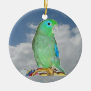 Spectacled Parrotlet Ceramic Ornament