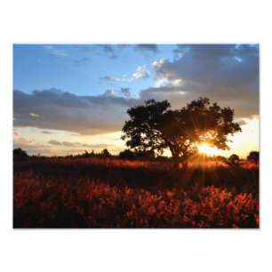 Spectacular African Sunset Photo Print