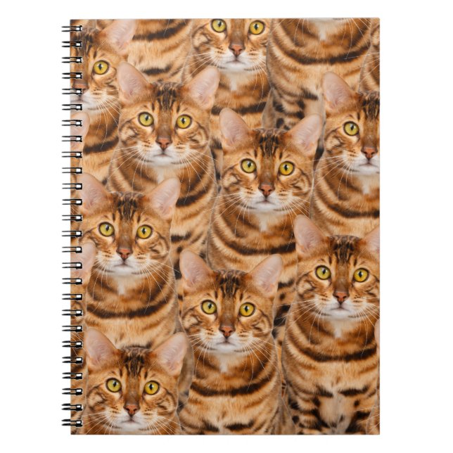 Spectacular Bengal Kittens Notebook (Front)