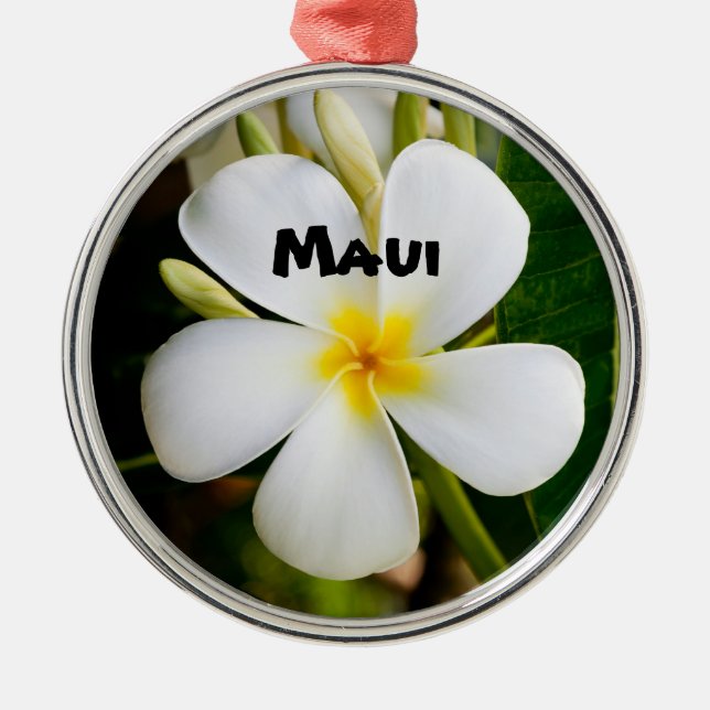 Spectacular Maui Metal Ornament (Front)