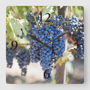 spectacular purple grapes square wall clock
