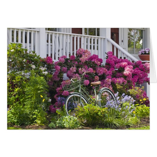 Spectacular spring bloom, whimsical antique (Front Horizontal)