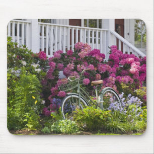 Spectacular spring bloom, whimsical antique mouse pad