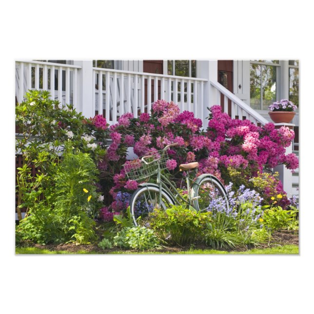 Spectacular spring bloom, whimsical antique photo print (Front)