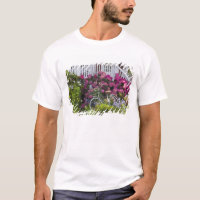 Spectacular spring bloom, whimsical antique