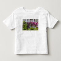 Spectacular spring bloom, whimsical antique