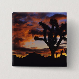 Spectacular Sunrise at Joshua Tree National 15 Cm Square Badge