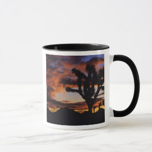 Spectacular Sunrise at Joshua Tree National Mug