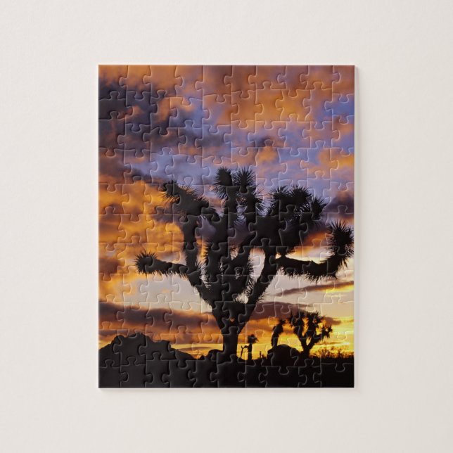 Spectacular Sunrise at Joshua Tree National Park Jigsaw Puzzle (Vertical)