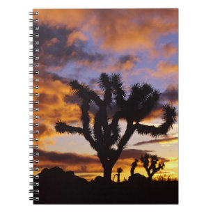Spectacular Sunrise at Joshua Tree National Park Notebook