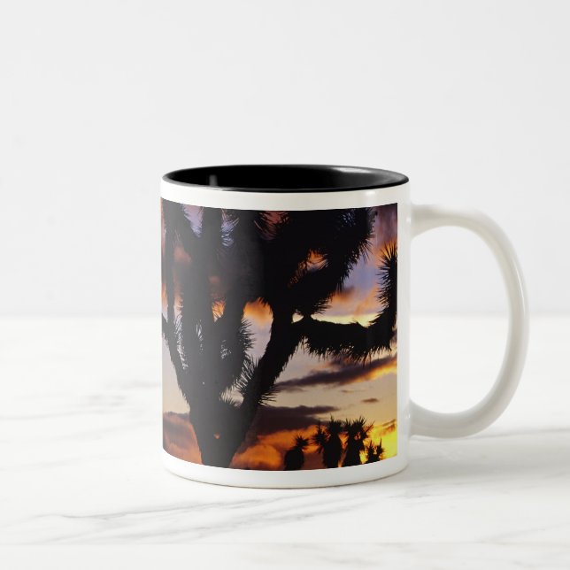 Spectacular Sunrise at Joshua Tree National Two-Tone Coffee Mug (Right)