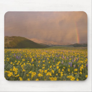 Spectacular wildflower meadow at sunrise in mouse pad