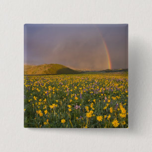 Spectacular wildflower meadow at sunrise in the 2 15 cm square badge