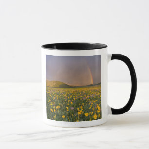Spectacular wildflower meadow at sunrise in the 2 mug