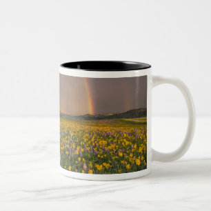 Spectacular wildflower meadow at sunrise in the 2 Two-Tone coffee mug