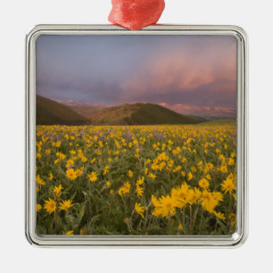 Spectacular wildflower meadow at sunrise in the metal ornament