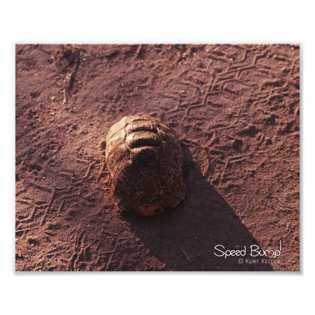 Speed Bump Photo Print (Front)