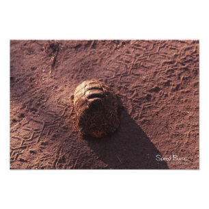 Speed Bump Photo Print