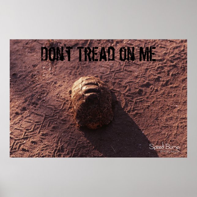 Speed Bump Poster (Front)