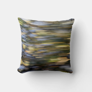 Speed Cushion