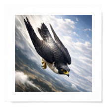 Speed of the Sky – Peregrine Falcon in Descent