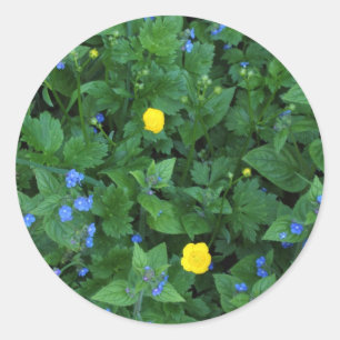 Speedwell and Buttercups Classic Round Sticker