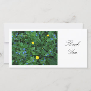 Speedwell and Buttercups - Thank You Card