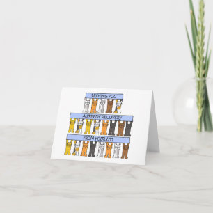 Speedy Recovery from UTI Card