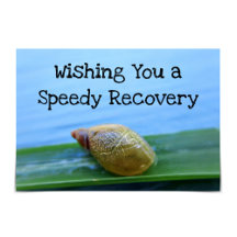 "Speedy Recovery" Get Better Soon Snail