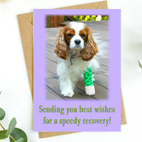 Speedy Recovery Get Well Spaniel Card