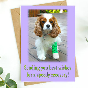 Speedy Recovery Get Well Spaniel Card