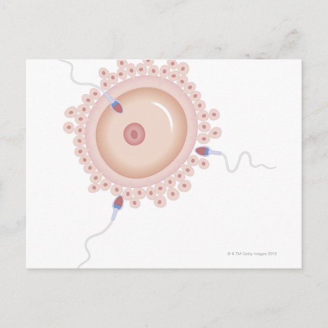 Sperm Containing Mutated Gene Postcard (Front)